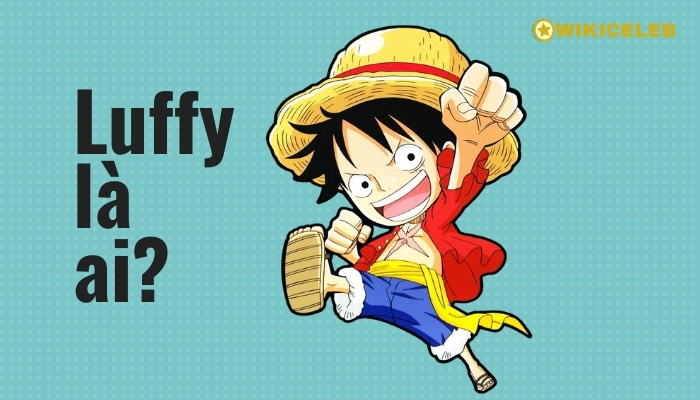 Luffy là ai? Tiểu sử về vua hải tặc Monkey D. Luffy