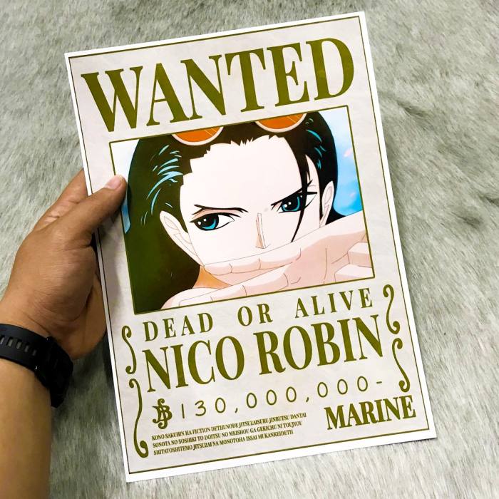 Nico Robin là ai