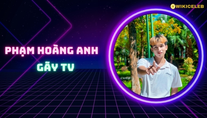 Phạm Hoàng Anh Gãy TV